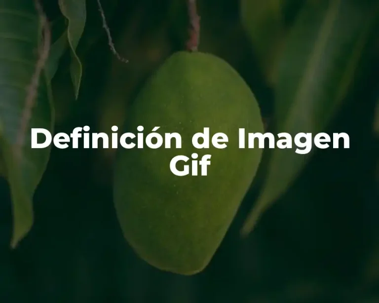 Definición de Imagen Gif
