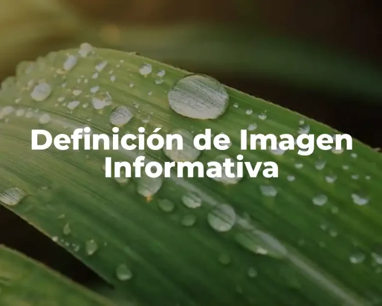Definición de Imagen Informativa