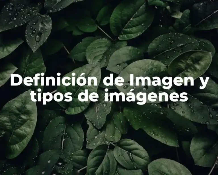 Definición de Imagen y tipos de imágenes