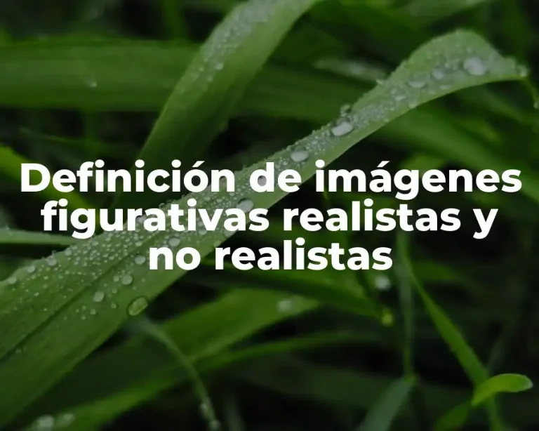 Definición de imágenes figurativas realistas y no realistas