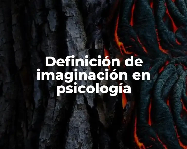 Definición de imaginación en psicología