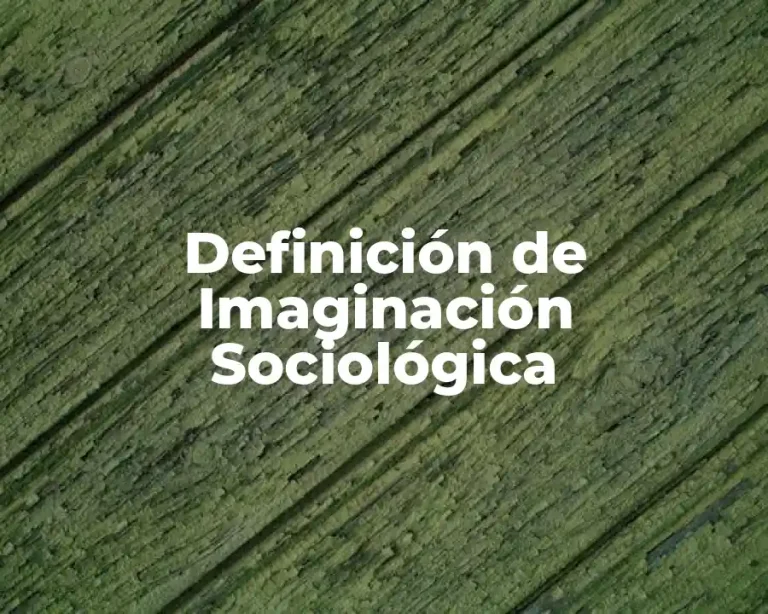 Definición de Imaginación Sociológica