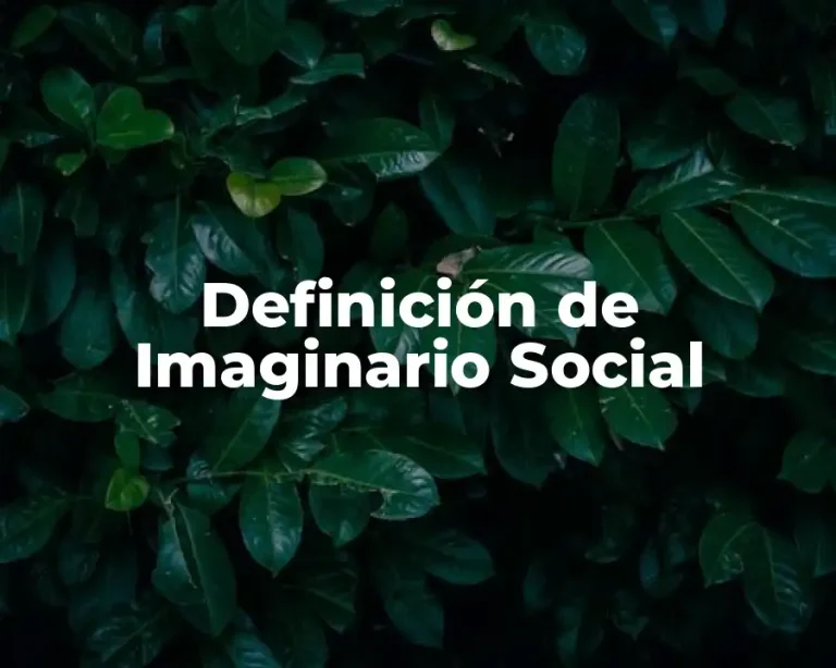 Definición de Imaginario Social
