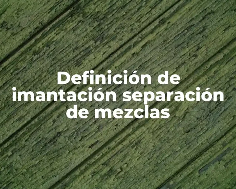 Definición de imantación separación de mezclas