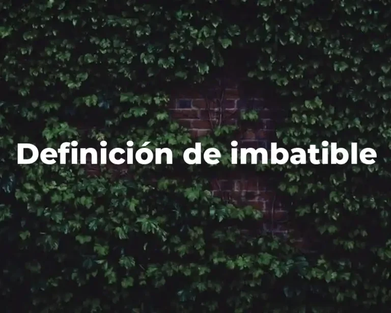 Definición de imbatible