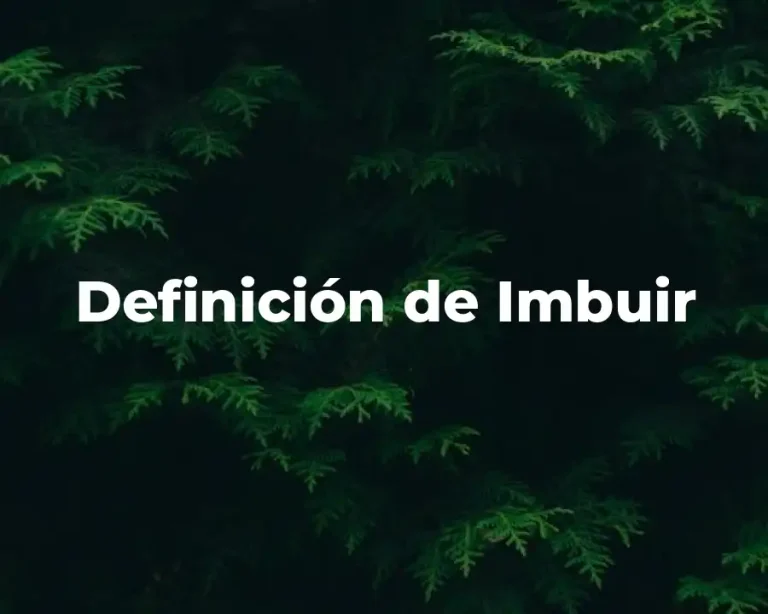 Definición de Imbuir