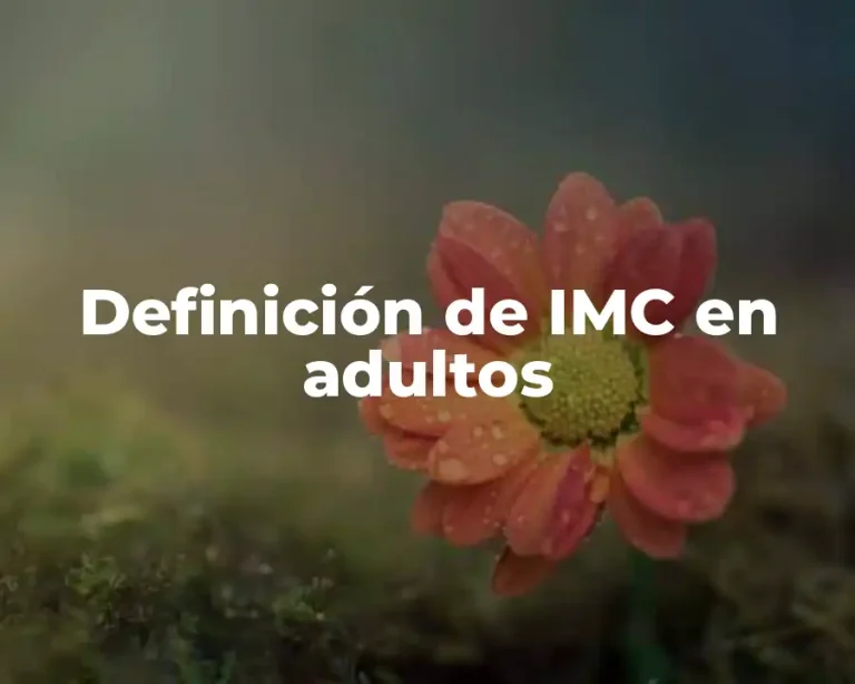 Definición de IMC en adultos