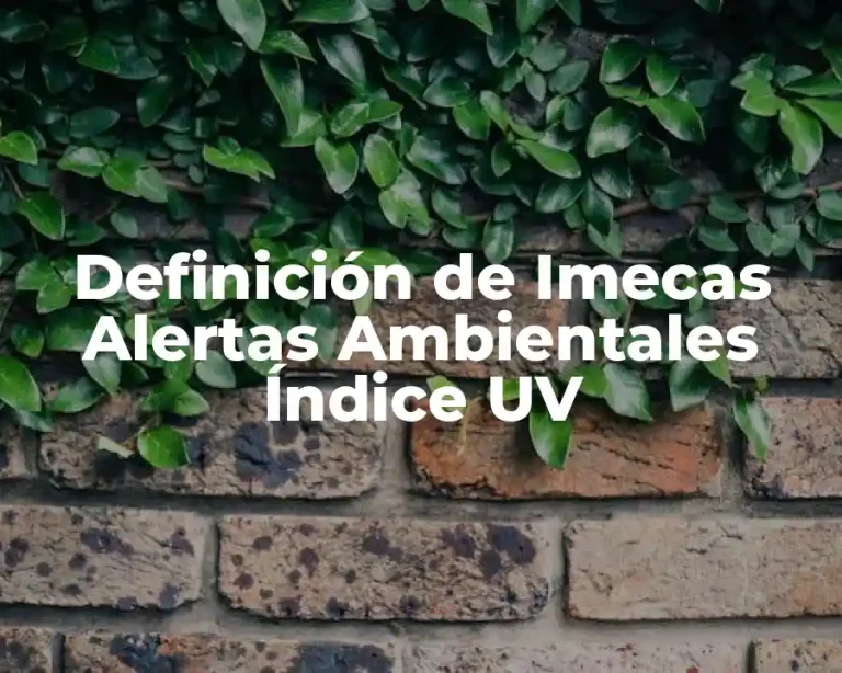 Definición de Imecas Alertas Ambientales Índice UV