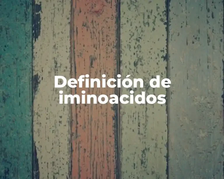 Definición de iminoacidos