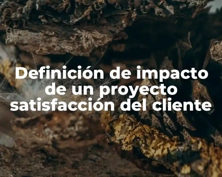 Definición de impacto de un proyecto satisfacción del cliente
