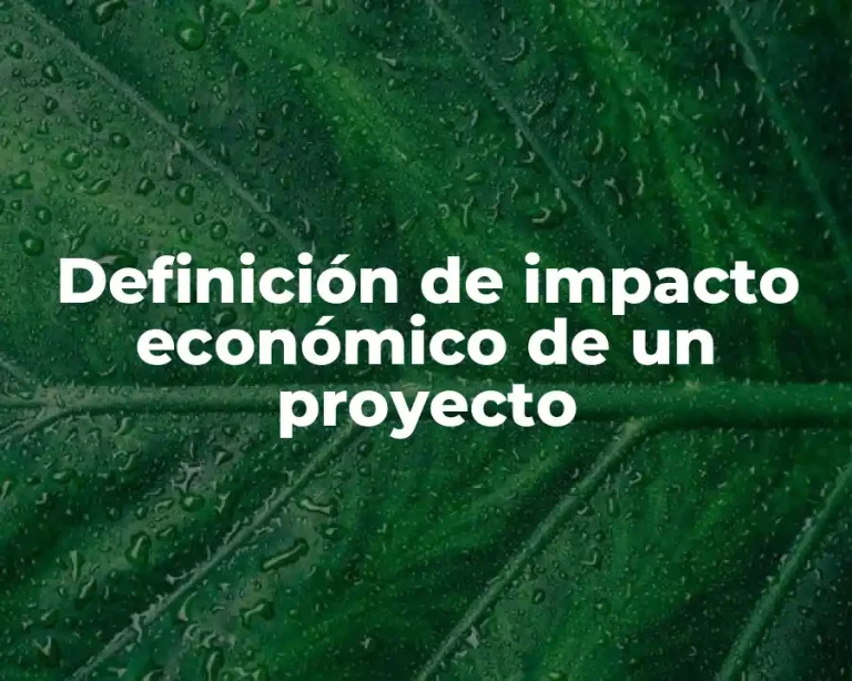 Definición de impacto económico de un proyecto