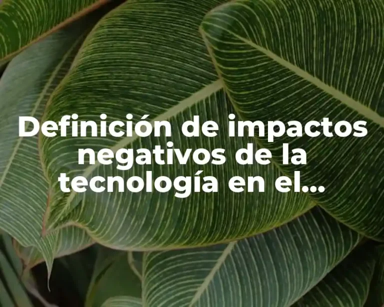 Definición de impactos negativos de la tecnología en el espacio