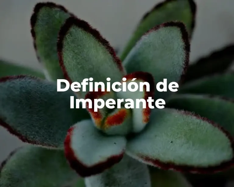 Definición de Imperante
