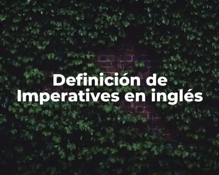 Definición de Imperatives en inglés