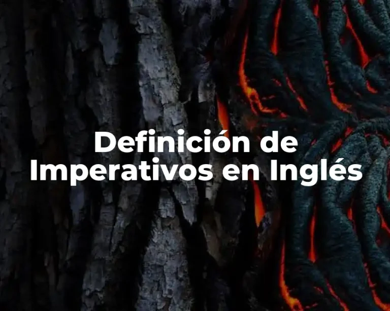 Definición de Imperativos en Inglés