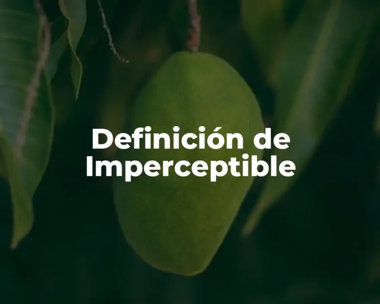 Definición de Imperceptible