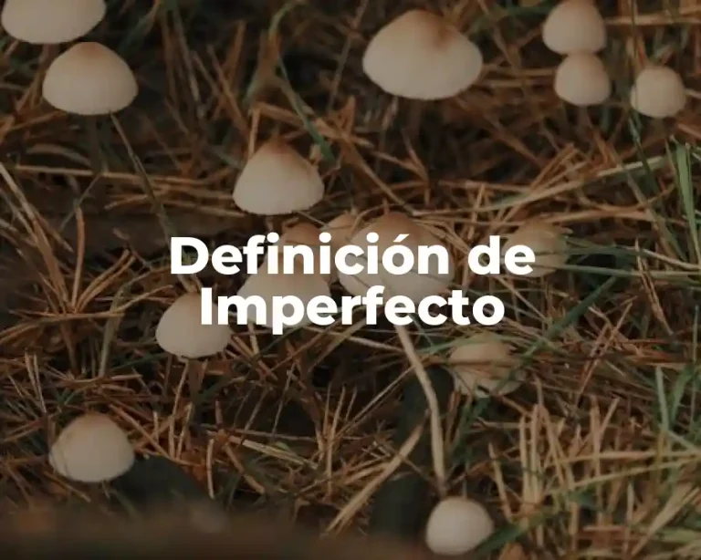Definición de Imperfecto