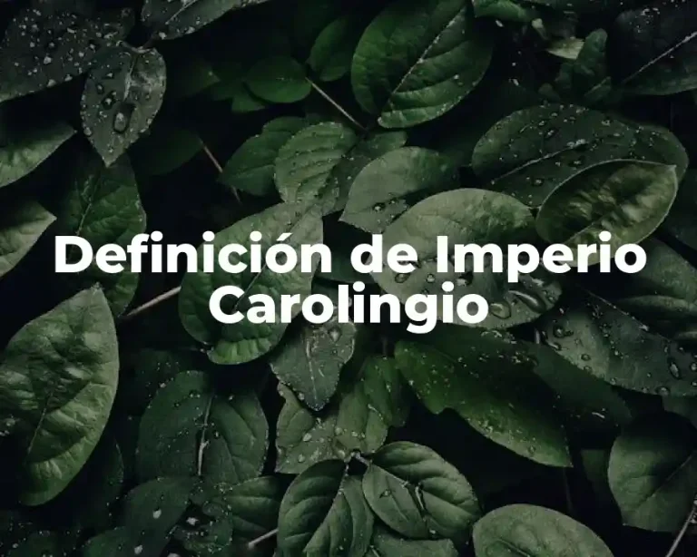 Definición de Imperio Carolingio