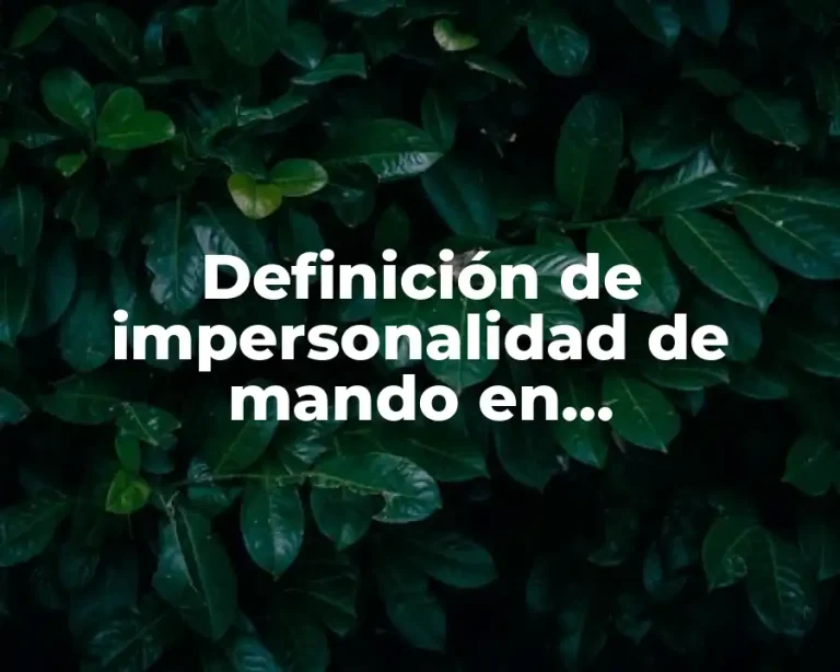 Definición de impersonalidad de mando en administración