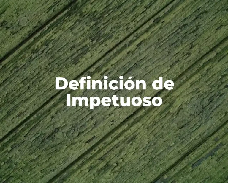 Definición de Impetuoso