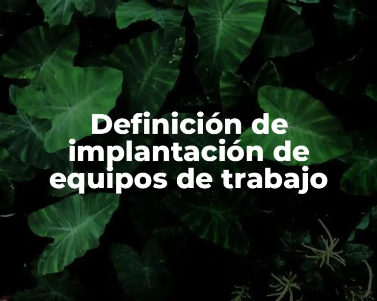 Definición de implantación de equipos de trabajo