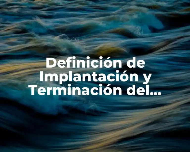 Definición de Implantación y Terminación del Proyecto