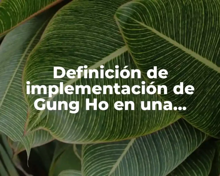 Definición de implementación de Gung Ho en una empresa