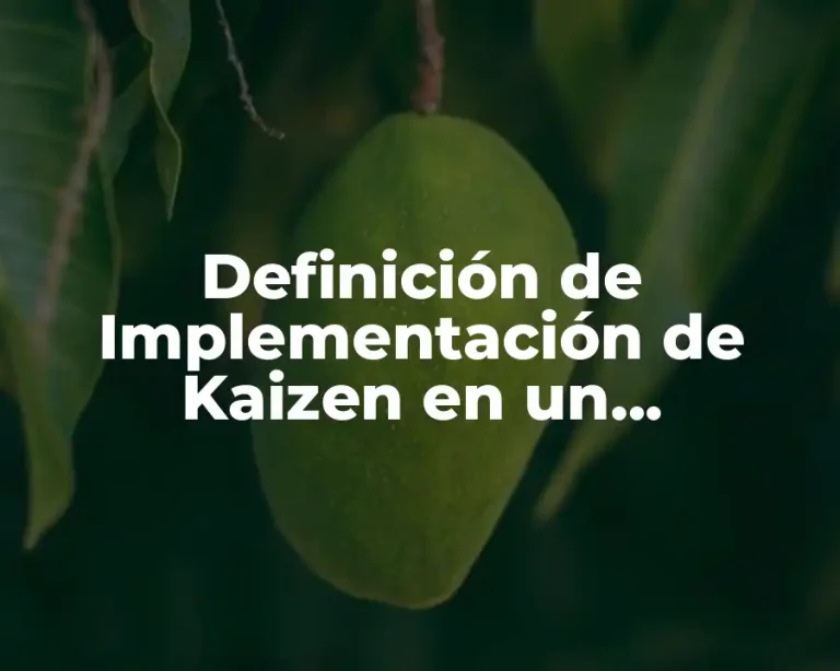 Definición de Implementación de Kaizen en un Restaurante