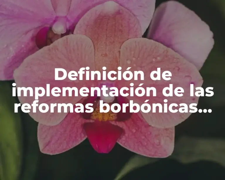Definición de implementación de las reformas borbónicas historia
