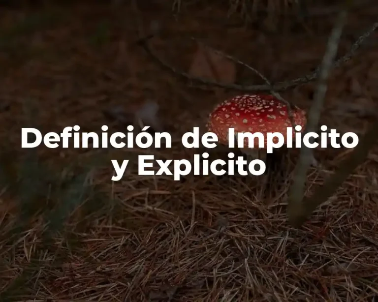 Definición de Implicito y Explicito