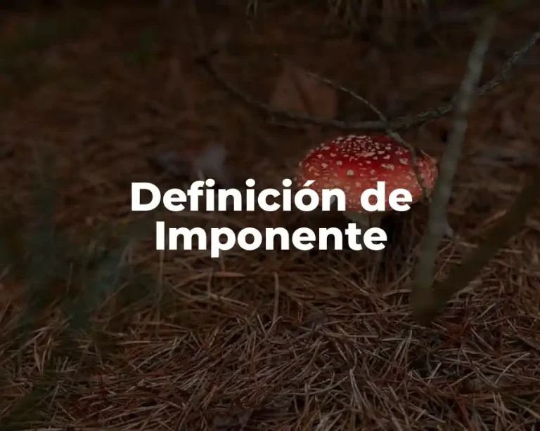 Definición de Imponente