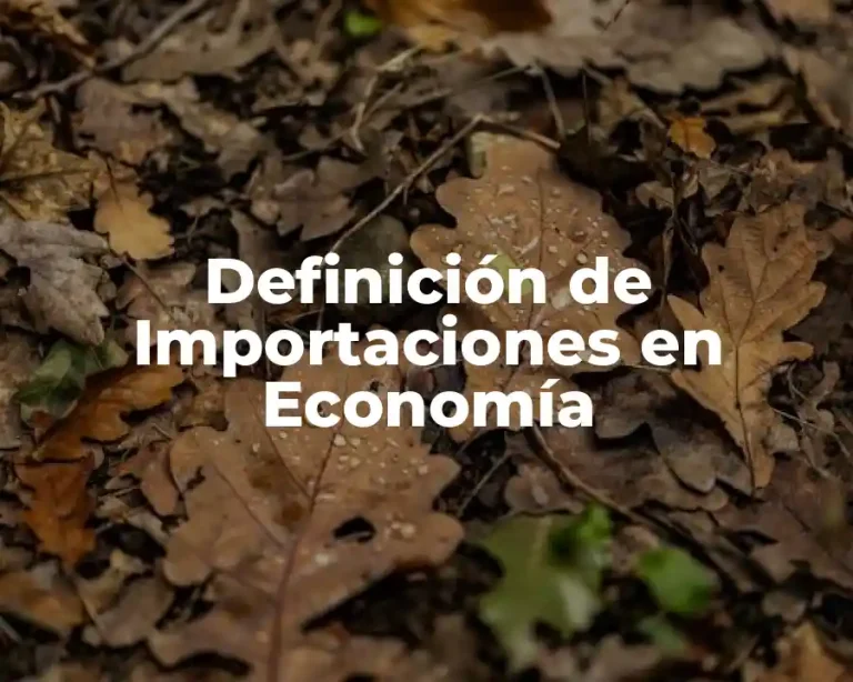 Definición de Importaciones en Economía