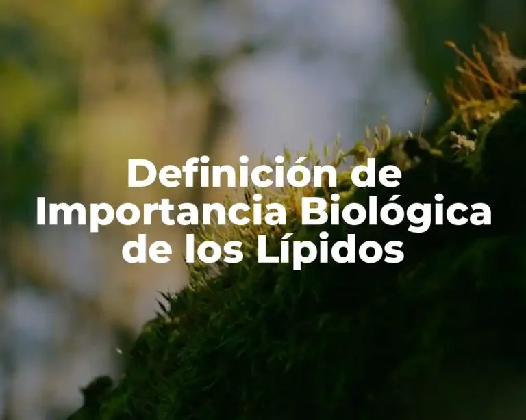 Definición de Importancia Biológica de los Lípidos