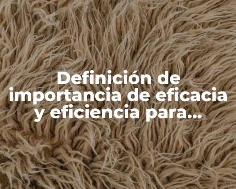 Definición de importancia de eficacia y eficiencia para organizaciones