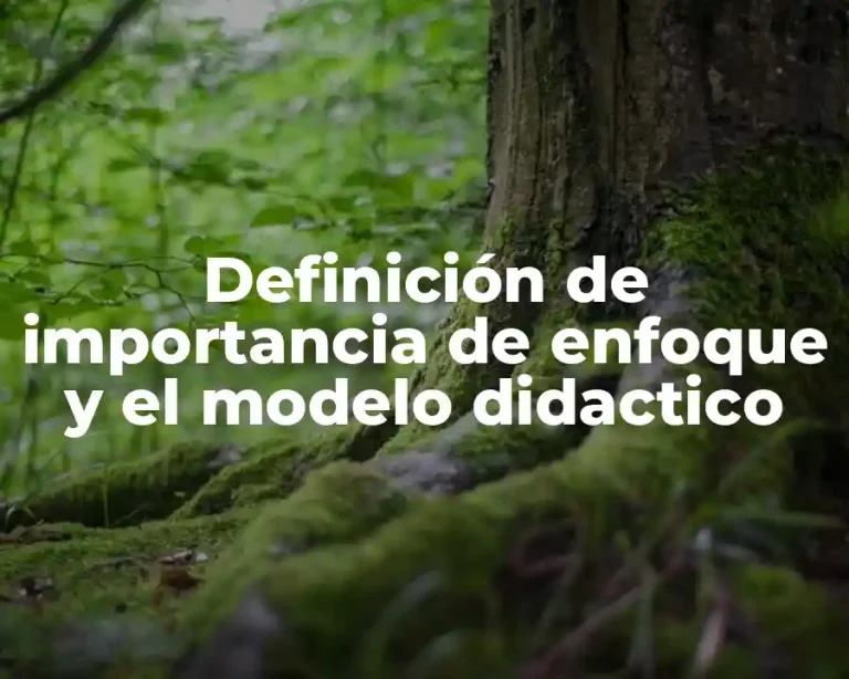 Definición de importancia de enfoque y el modelo didactico