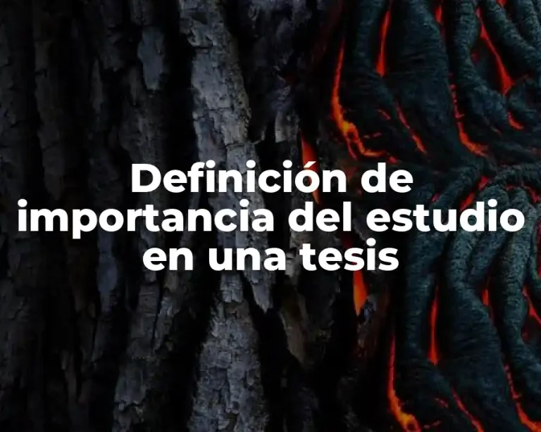 Definición de importancia del estudio en una tesis