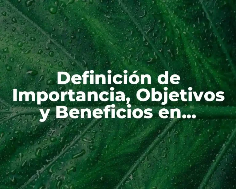Definición de Importancia, Objetivos y Beneficios en Consultoría
