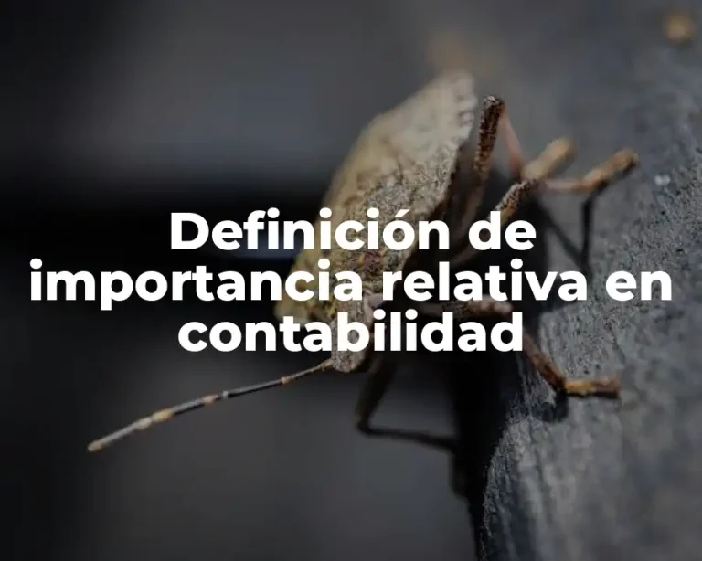 Definición de importancia relativa en contabilidad
