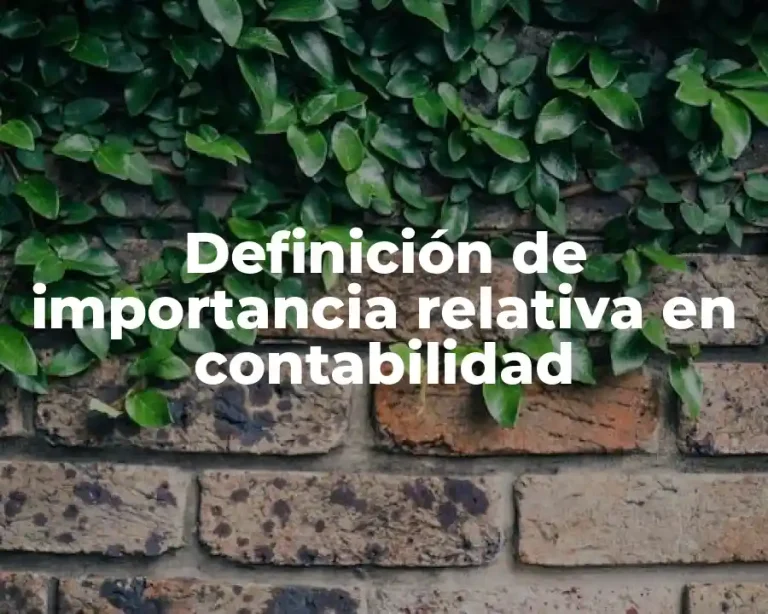 Definición de importancia relativa en contabilidad