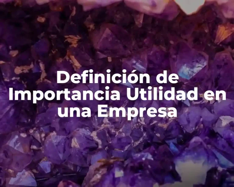 Definición de Importancia Utilidad en una Empresa