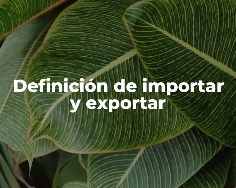 Definición de importar y exportar