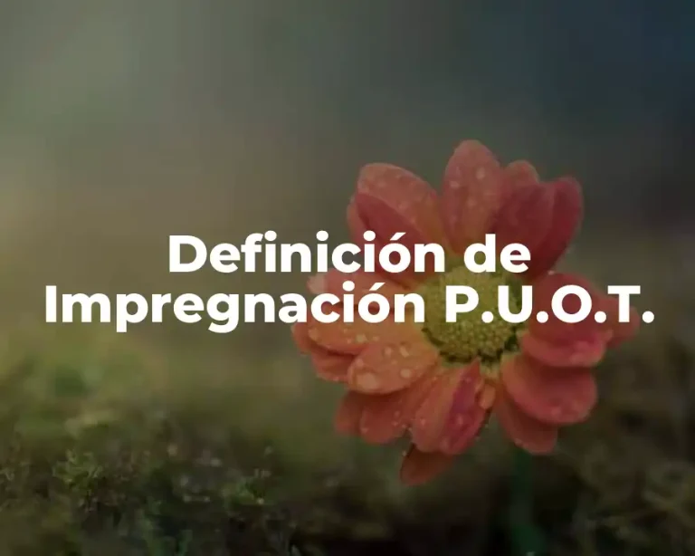 Definición de Impregnación P.U.O.T.