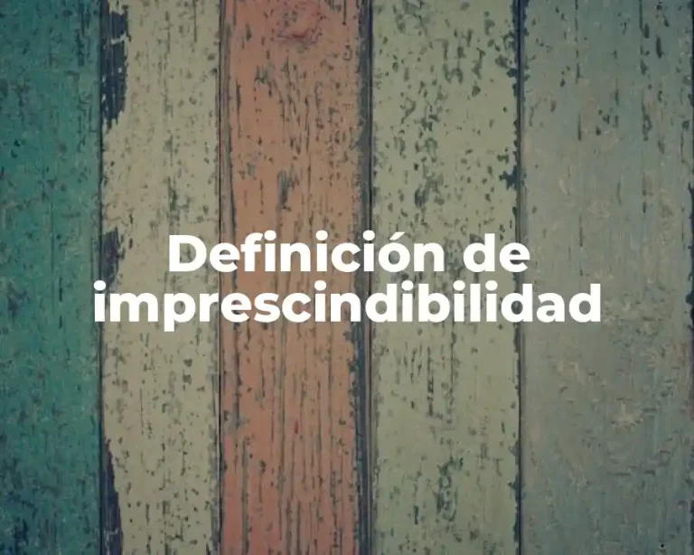 Definición de imprescindibilidad
