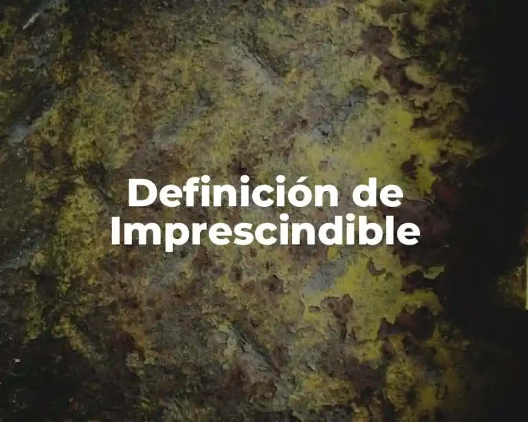 Definición de Imprescindible