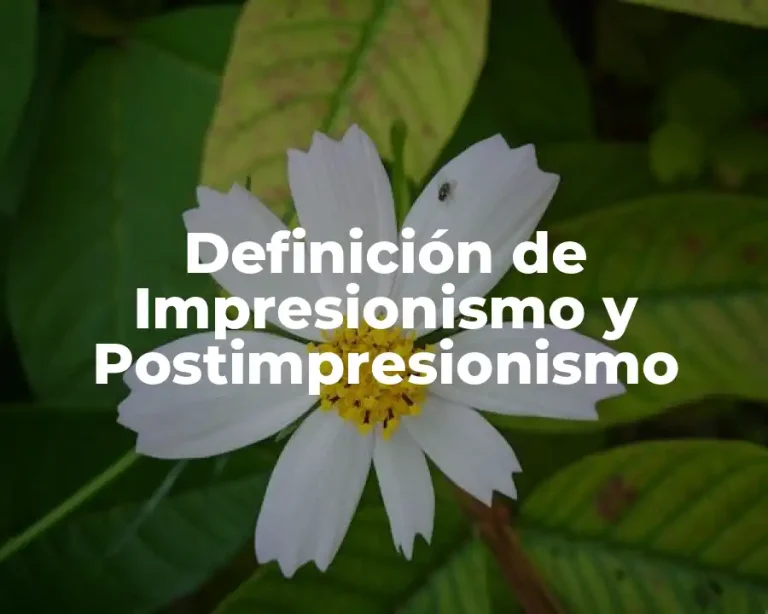 Definición de Impresionismo y Postimpresionismo