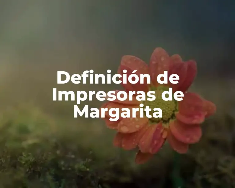 Definición de Impresoras de Margarita