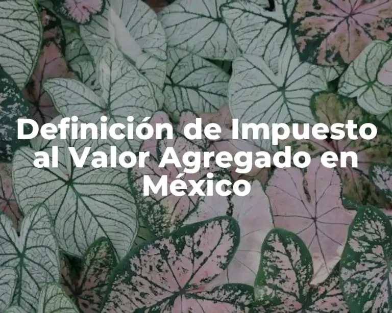 Definición de Impuesto al Valor Agregado en México