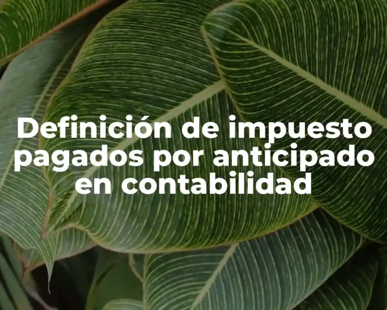 Definición de impuesto pagados por anticipado en contabilidad