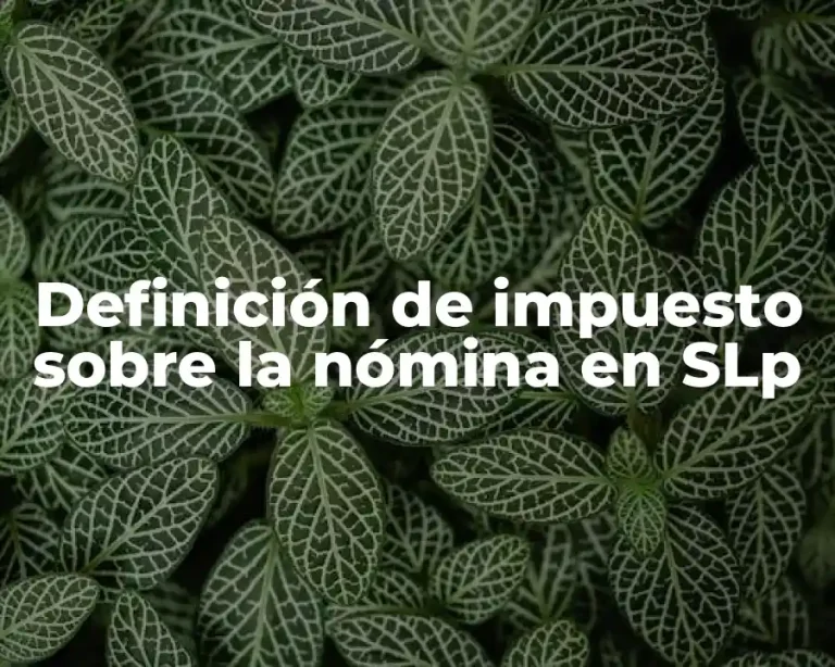 Definición de impuesto sobre la nómina en SLp