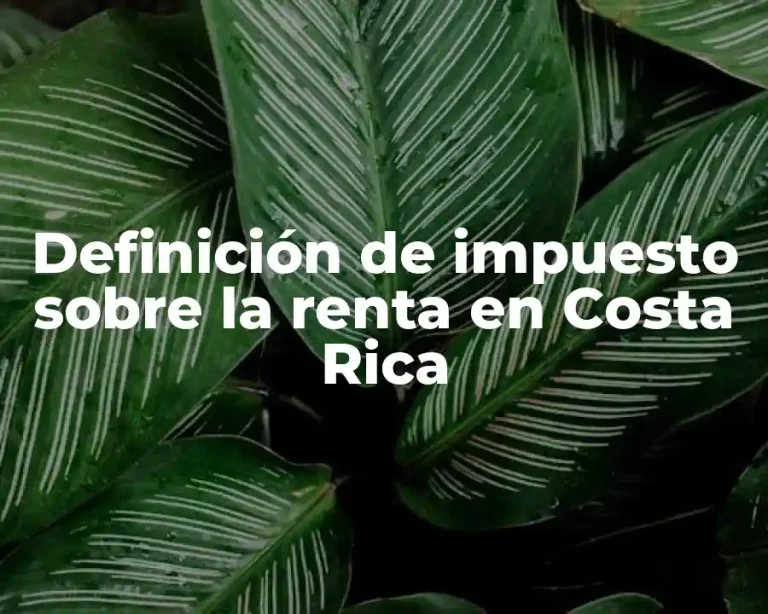 Definición de impuesto sobre la renta en Costa Rica